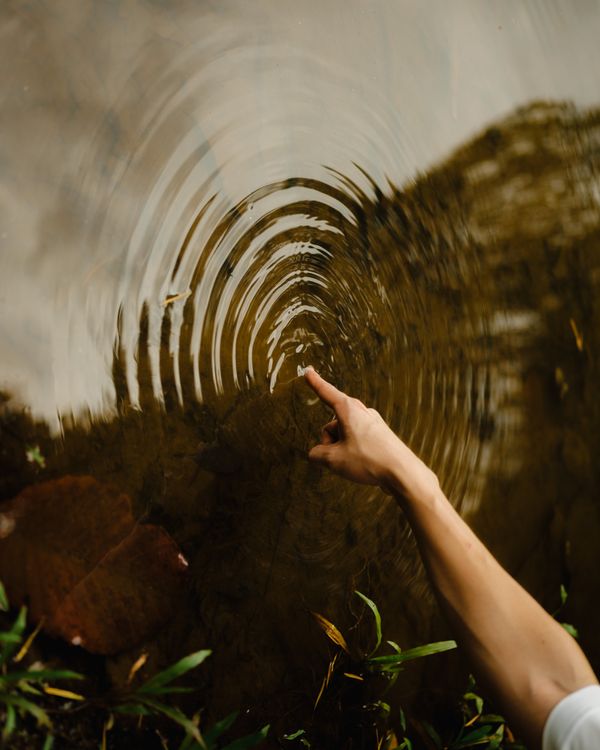 © Alvin Ng - Endotercisus: Tomorrow's dawn denotes the winter's middle point. What is left will equal what went before.