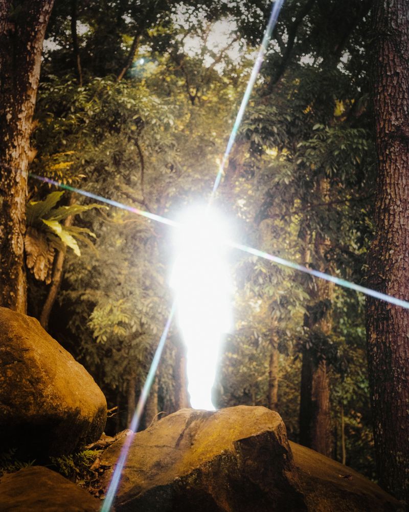 © Alvin Ng - Image from the Book of Days photography project