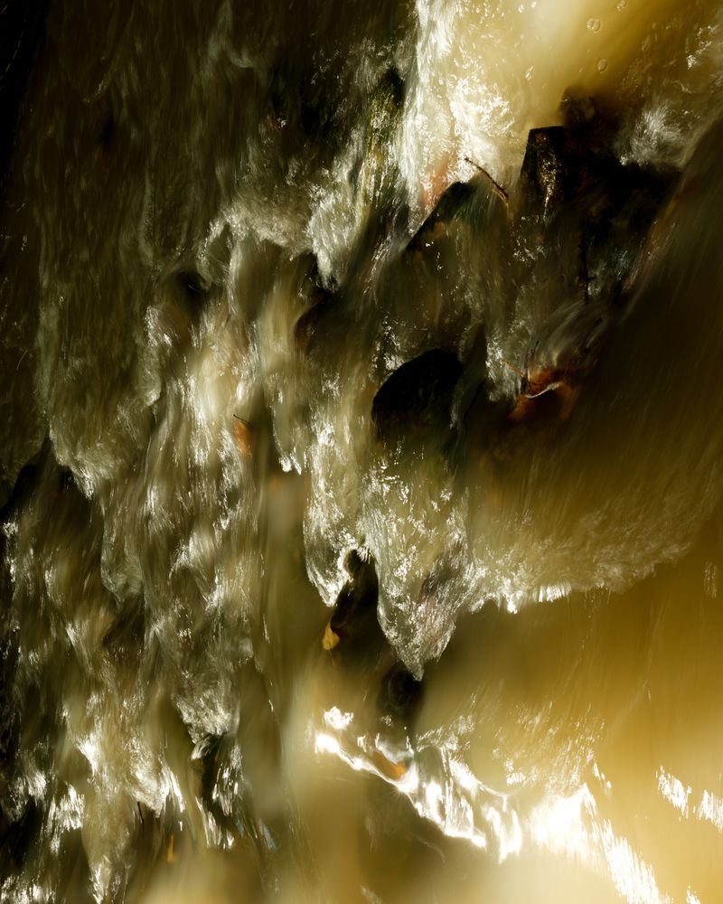 © Alvin Ng - Image from the Book of Days photography project