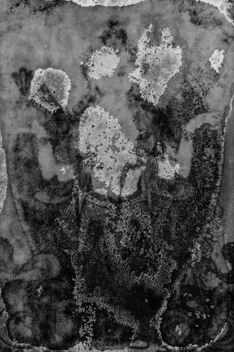 © Alvin Ng - Image from the Taixu photography project