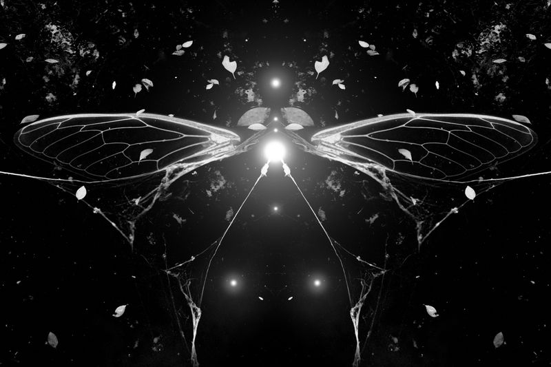 © Alvin Ng - Image from the Taixu photography project