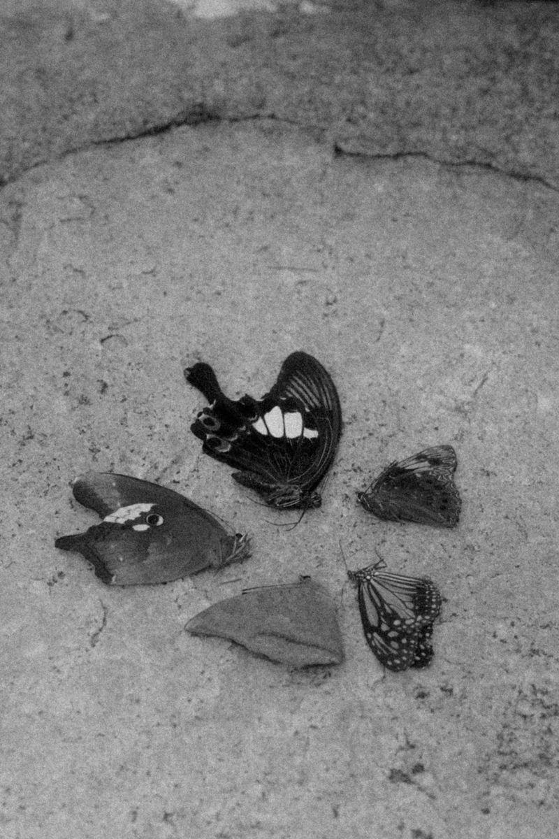 © Alvin Ng - Image from the Taixu photography project