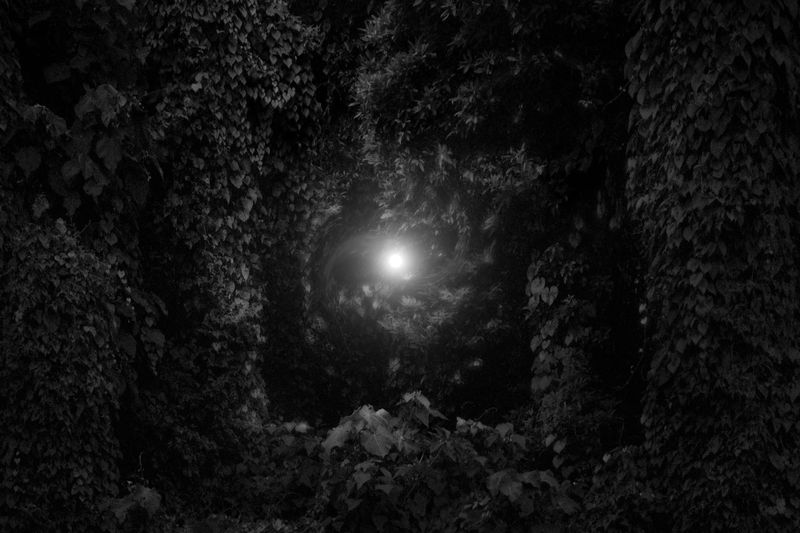 © Alvin Ng - Image from the Taixu photography project