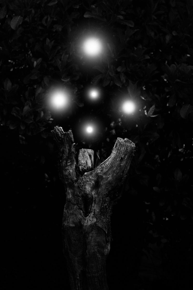 © Alvin Ng - Image from the Taixu photography project