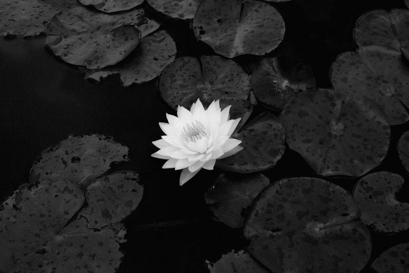 © Alvin Ng - Image from the Taixu photography project