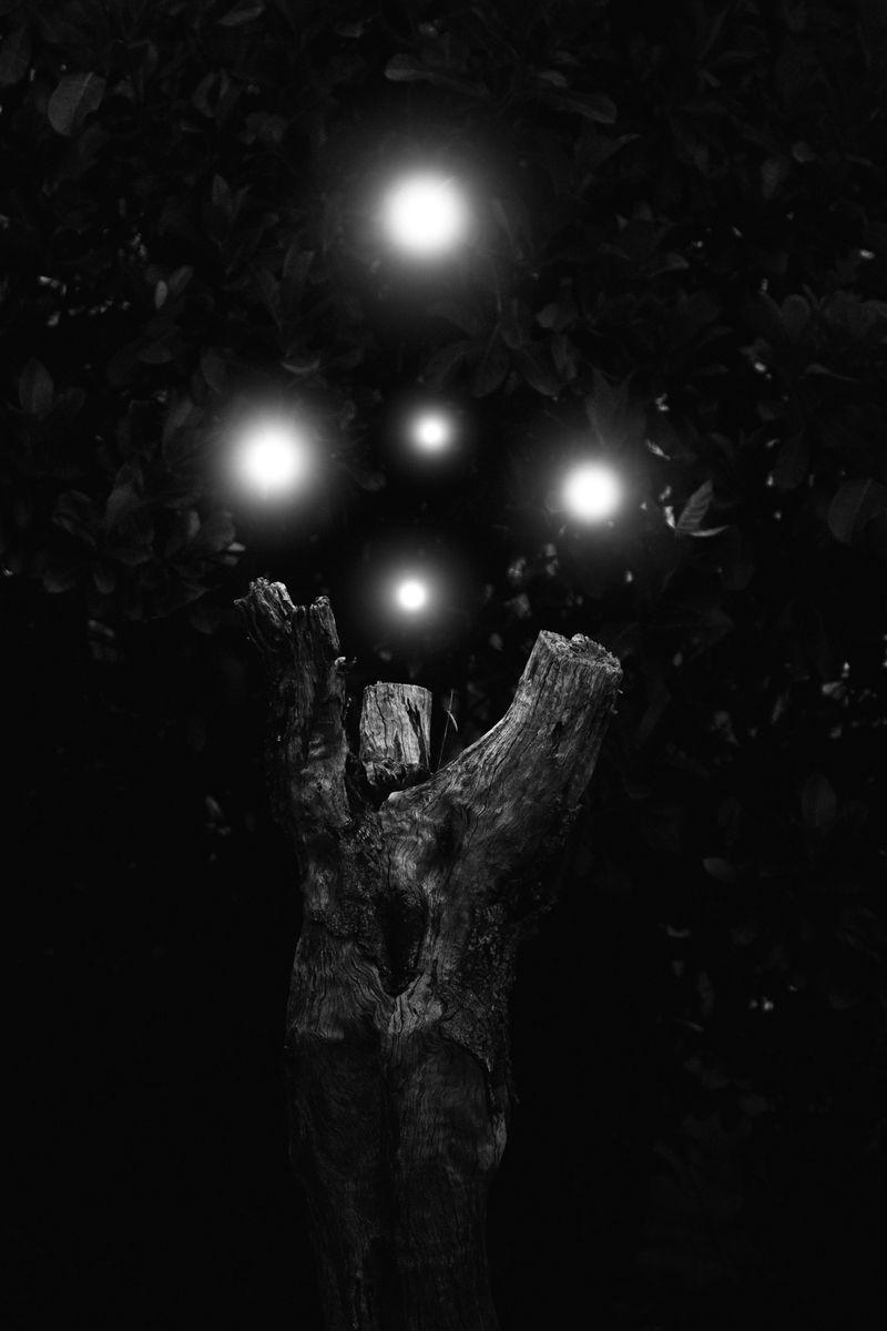 © Alvin Ng - Image from the Taixu photography project