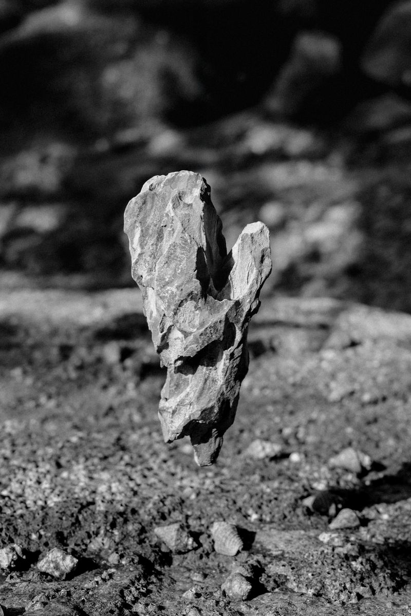 © Alvin Ng - Image from the Taixu photography project