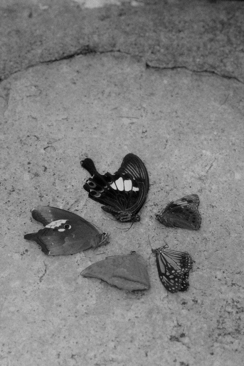 © Alvin Ng - Image from the Taixu photography project