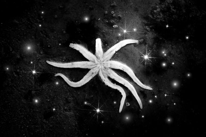 © Alvin Ng - Image from the Taixu photography project