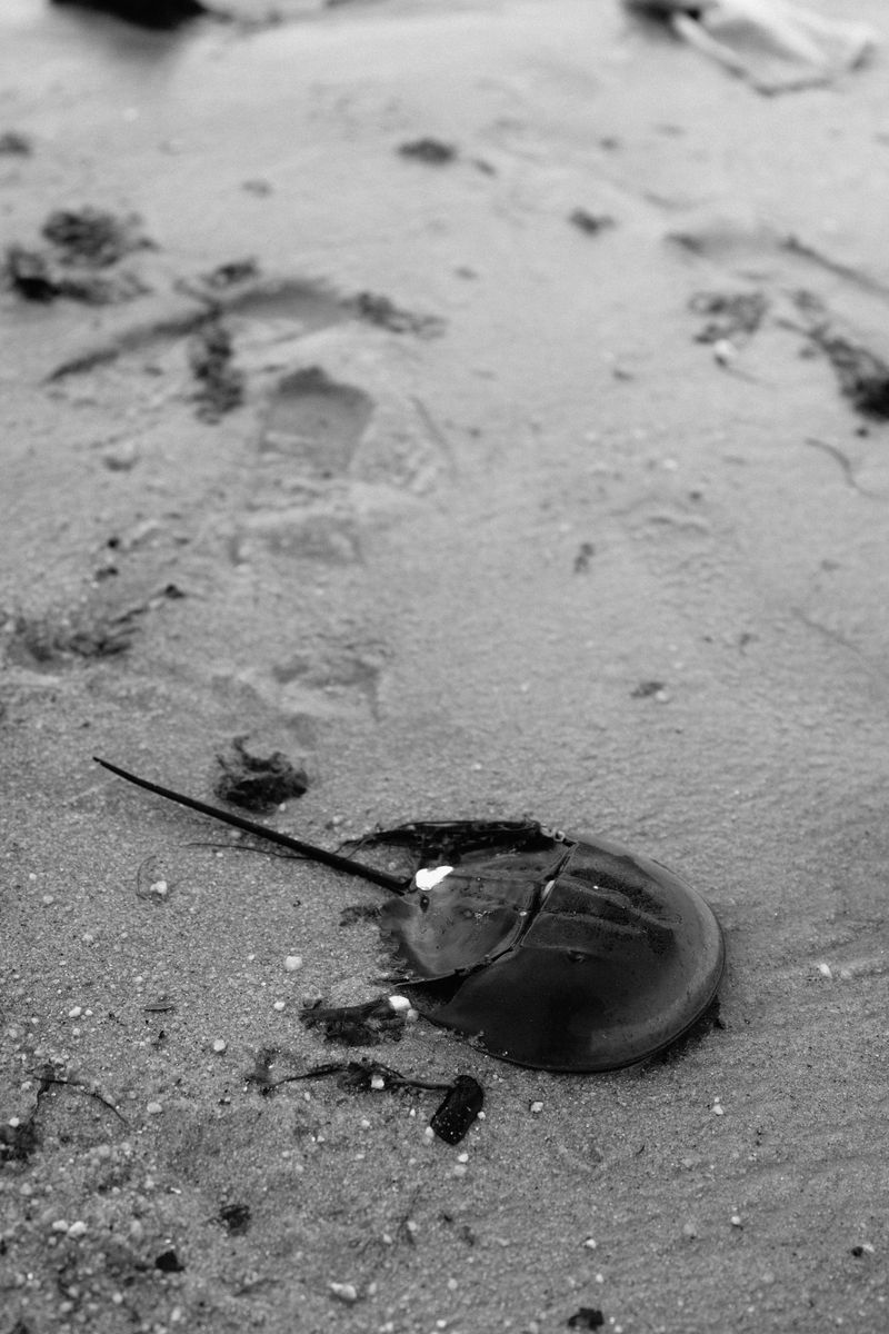 © Alvin Ng - Image from the Taixu photography project