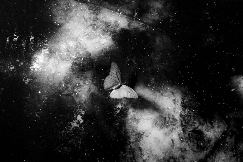 © Alvin Ng - Image from the Taixu photography project