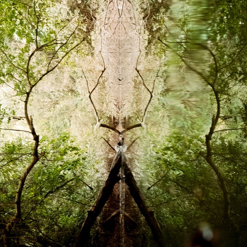 © Alvin Ng - Image from the Samsara photography project