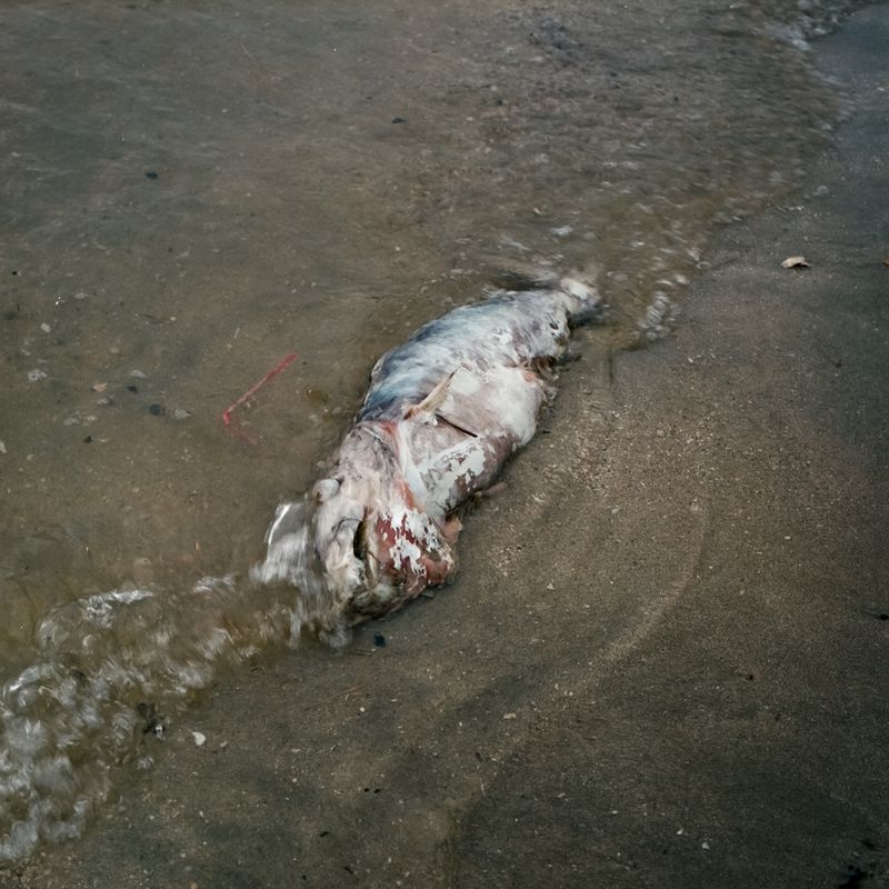 © Alvin Ng - Image from the Samsara photography project