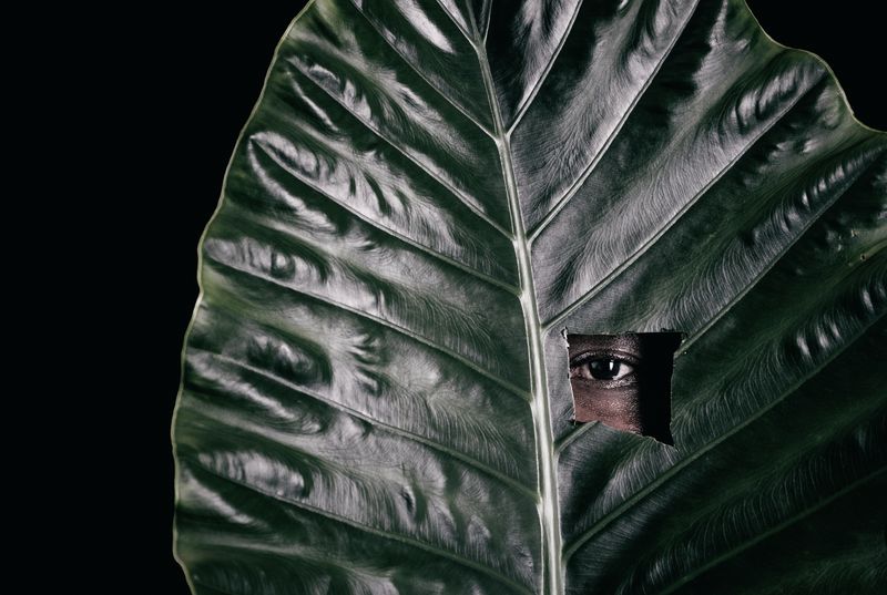 © Daniel Pazdur - Image from the Subtle Objects photography project