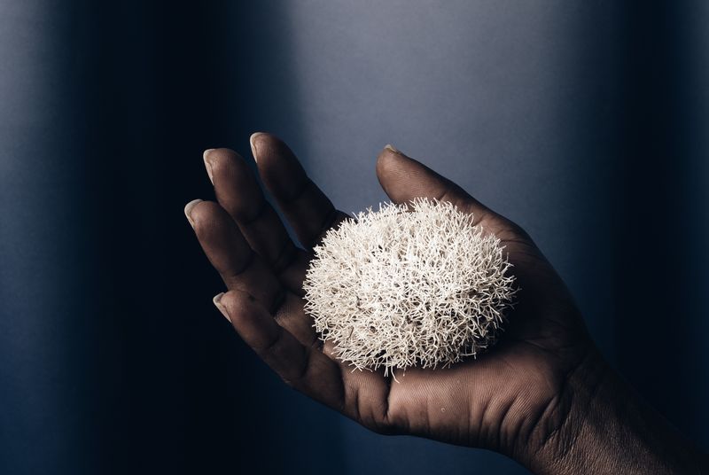 © Daniel Pazdur - Image from the Subtle Objects photography project