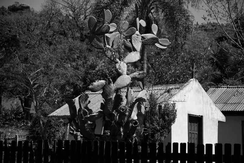 © Norton Dudeque - Guartelá Chapel, Tibagi, PR