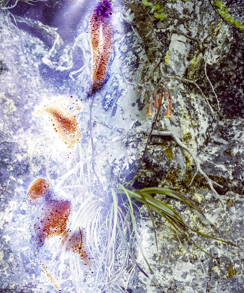 © Rebecca Najdowski - Image from the Ambient Pressure photography project