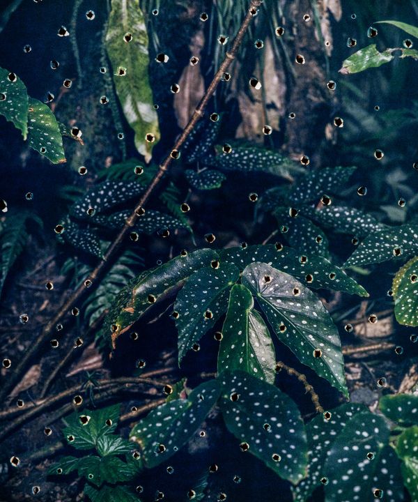 © Rebecca Najdowski - Image from the Ambient Pressure photography project