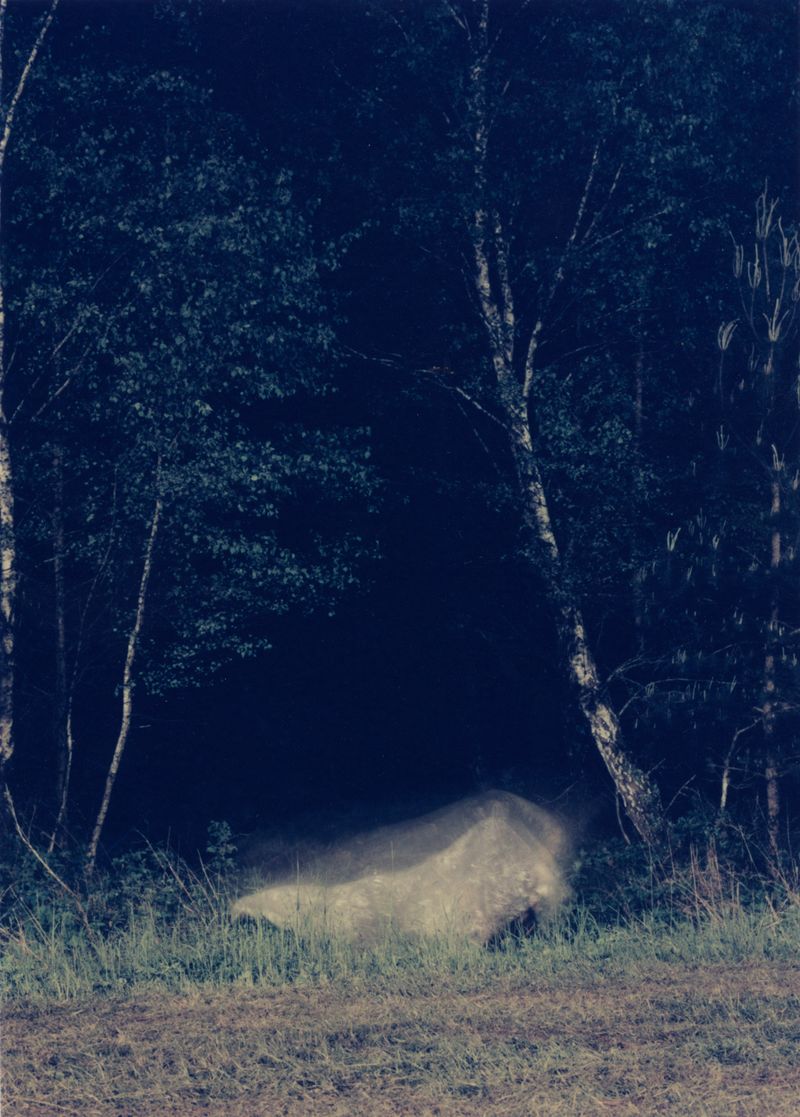 © Akosua Viktoria Adu-Sanyah - Image from the INHERITANCE – Poems of Non-Belonging photography project