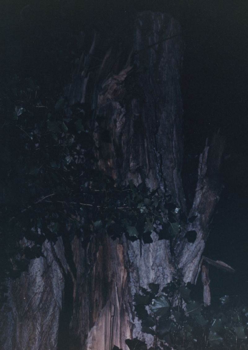 © Akosua Viktoria Adu-Sanyah - Image from the INHERITANCE – Poems of Non-Belonging photography project