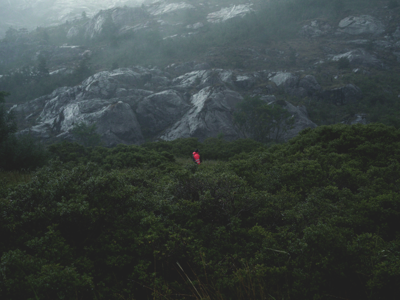 © Akosua Viktoria Adu-Sanyah - marco pinto, young ocean scientist in seno ballena