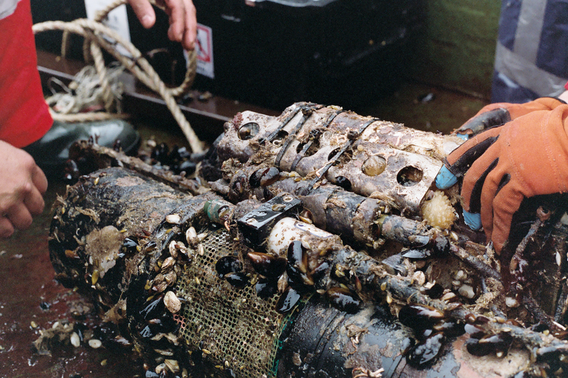 © Akosua Viktoria Adu-Sanyah - oceaanographic sensor with biomass, retrieved after 1,5 years in the ocean