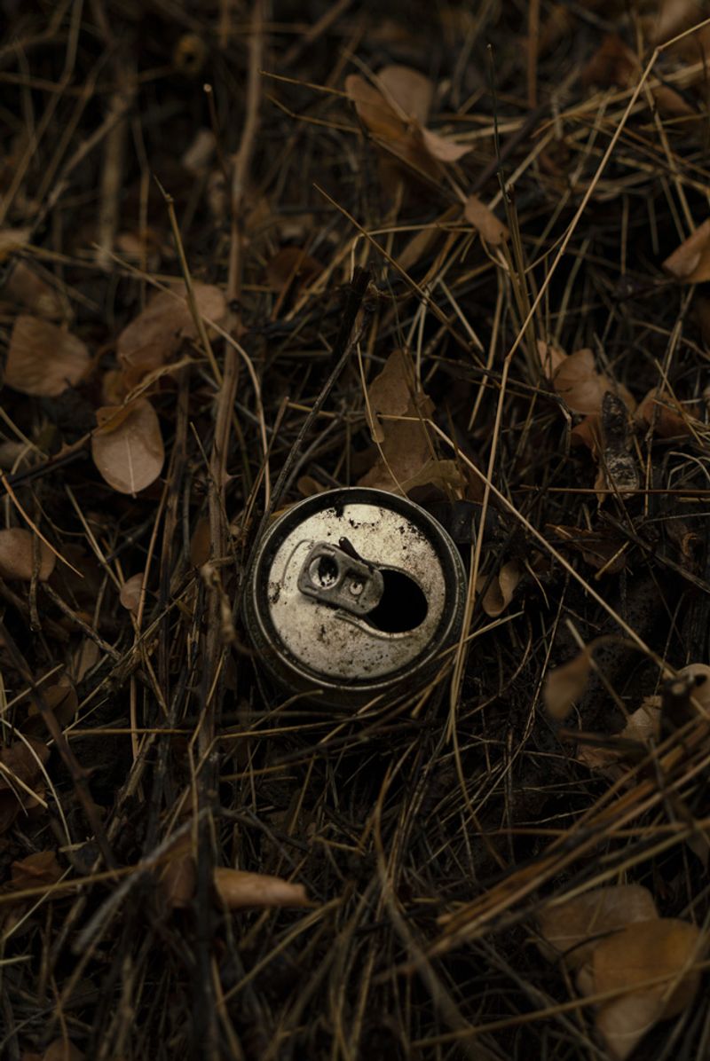 © Prisca Tozzi - Image from the Apnesya photography project