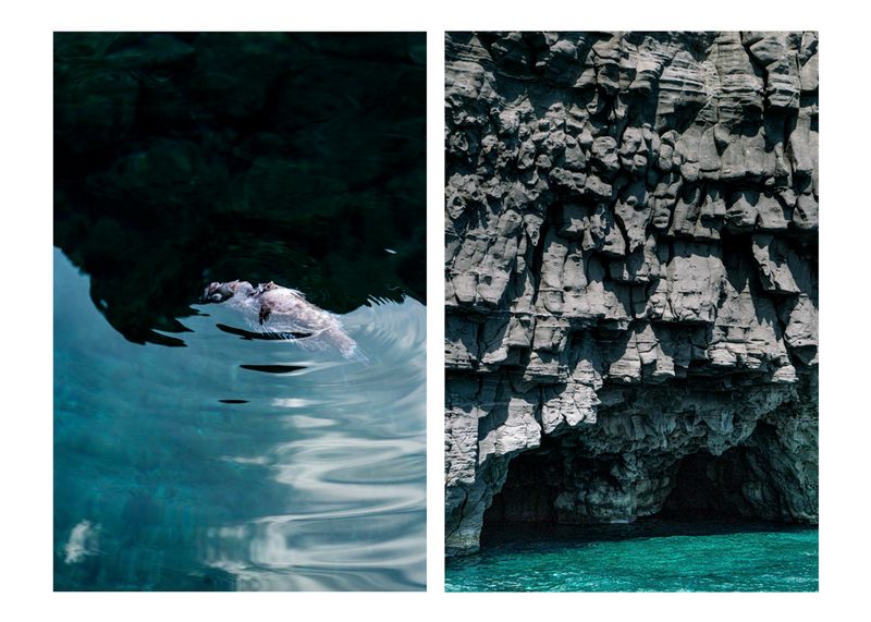 © Prisca Tozzi - Image from the Apnesya photography project