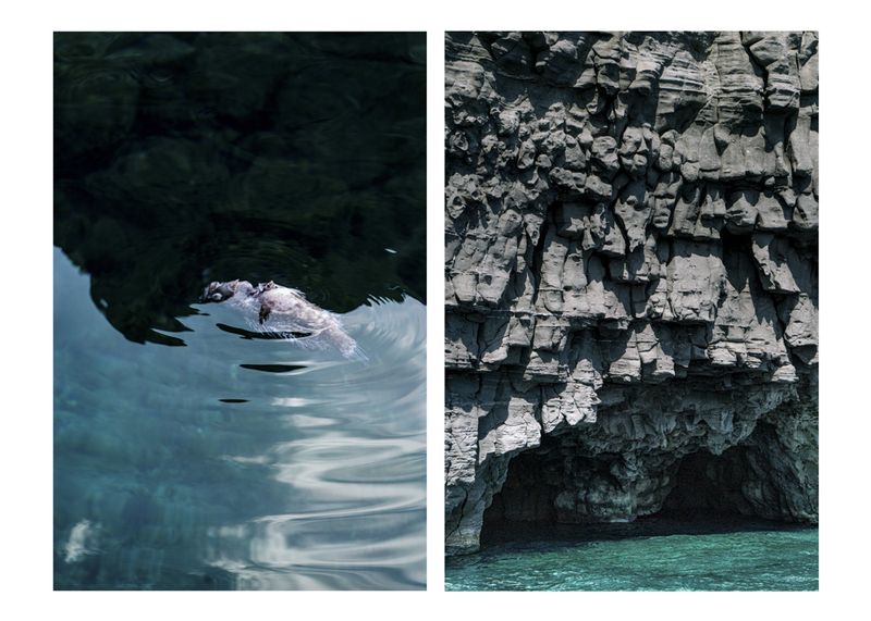 © Prisca Tozzi - Image from the Apnesya photography project