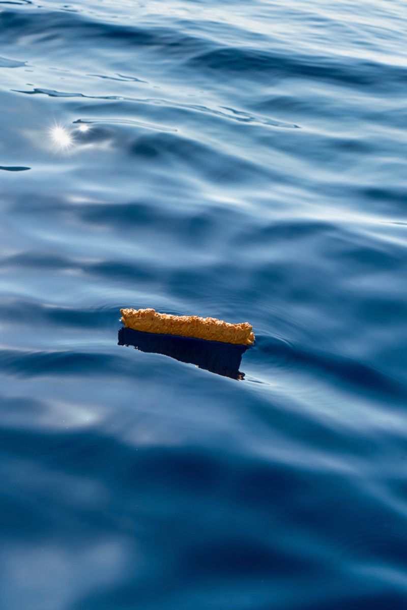 © Prisca Tozzi - Image from the Apnesya photography project