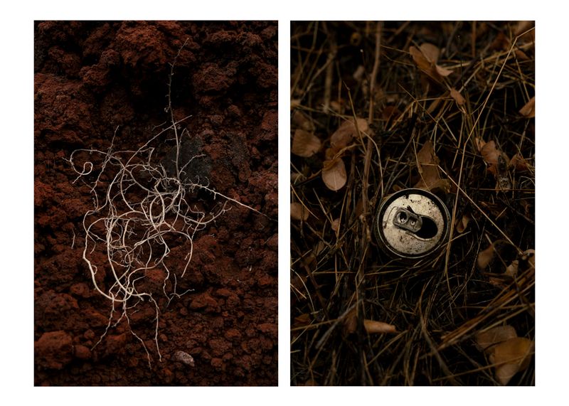 © Prisca Tozzi - Image from the Apnesya photography project