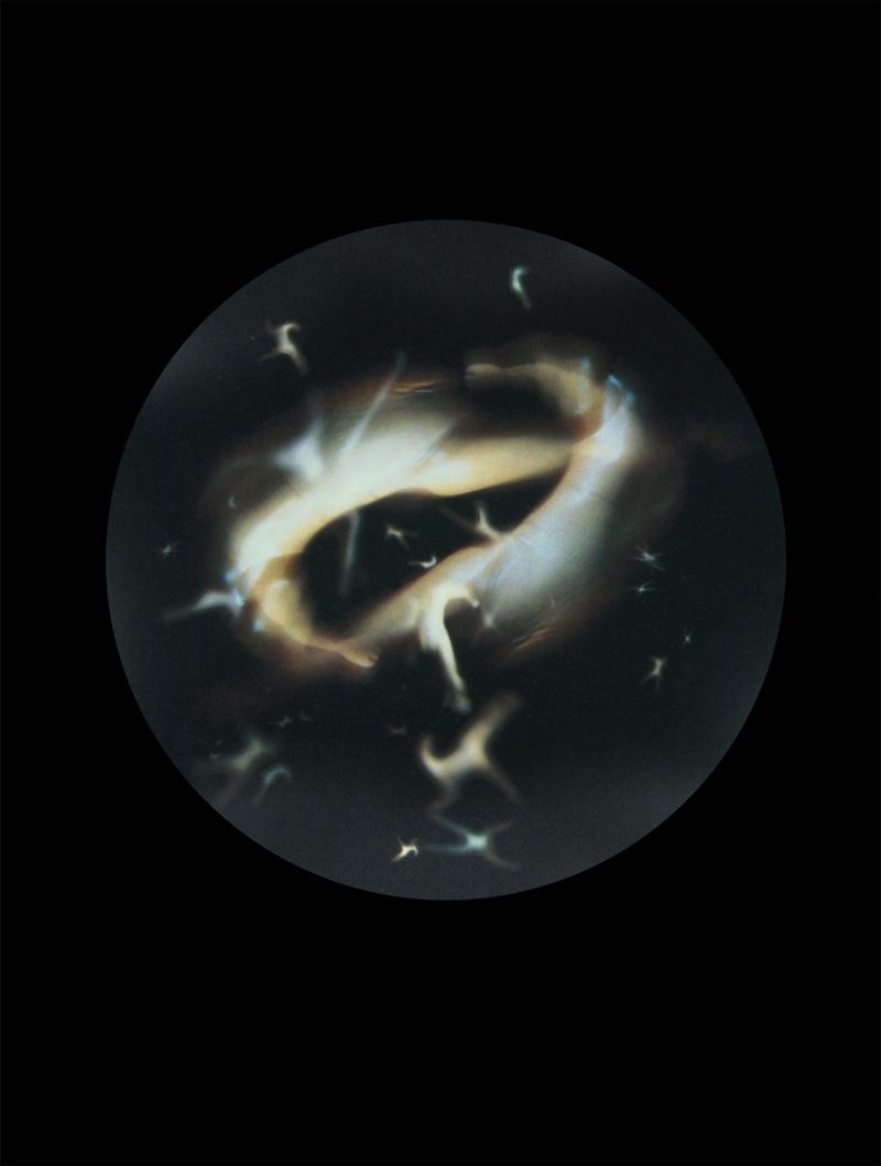 © Mandy Barker - Plasterinellic.Specimen collected from Dunkettle Interchange, Cove of Cork, Ireland(Action man figure, without head)