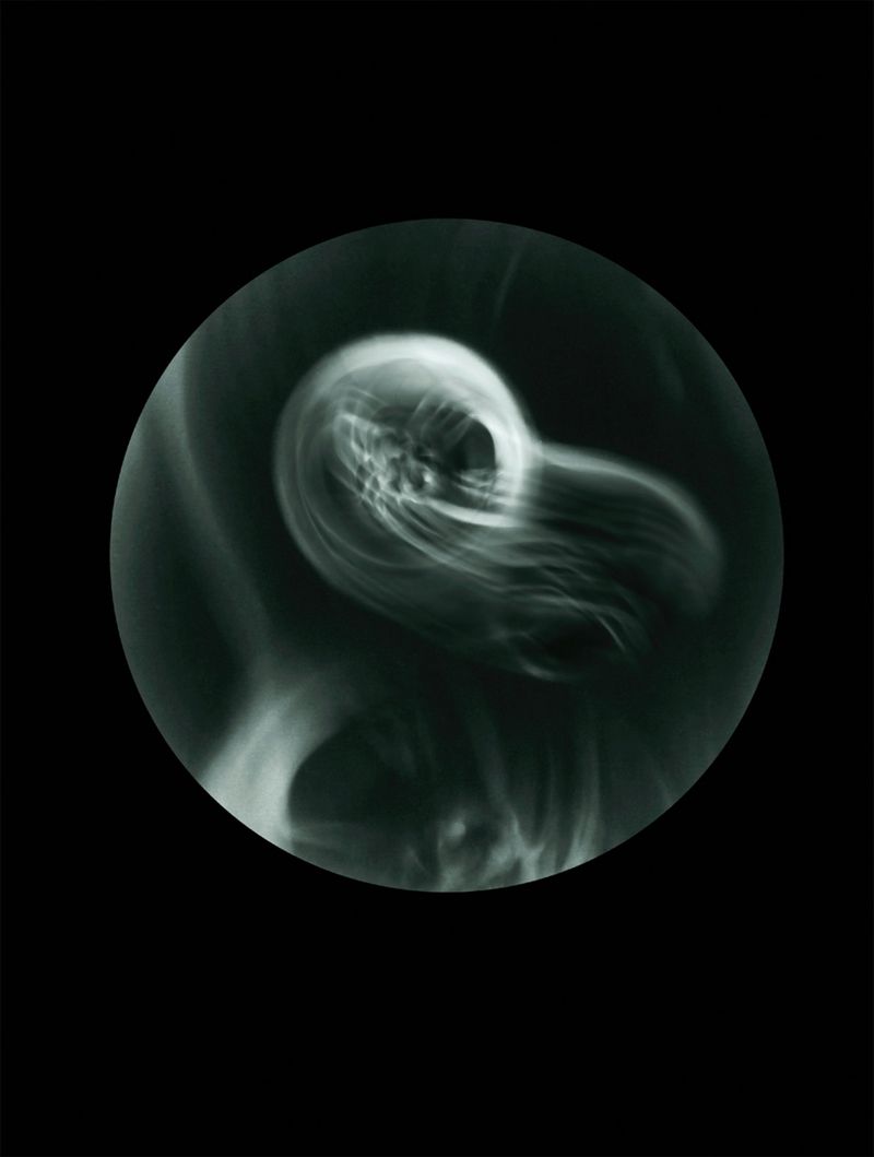 © Mandy Barker - Phoronilasteri crae.Specimen collected from Whitepoint, Cobh shoreline, Cove of Cork, Ireland(Tricycle wheel)