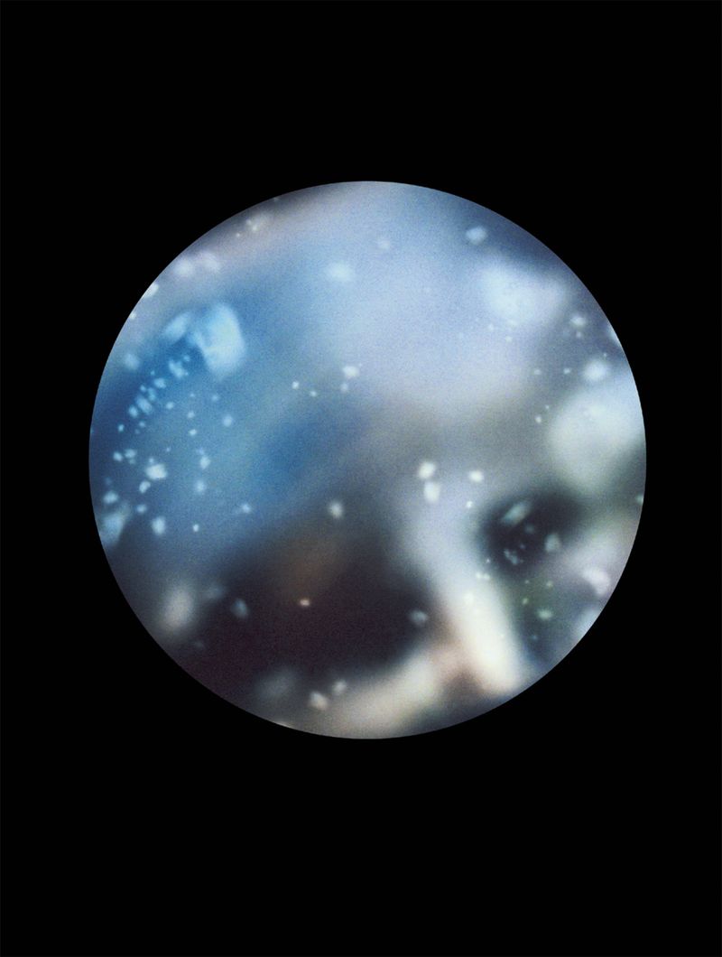 © Mandy Barker - Image from the Beyond Drifting: Imperfectly known animals photography project