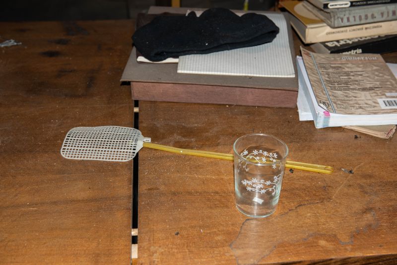 © Zula Rabikowska - Mosquitos have been equally present during communism as they are during capitalism.