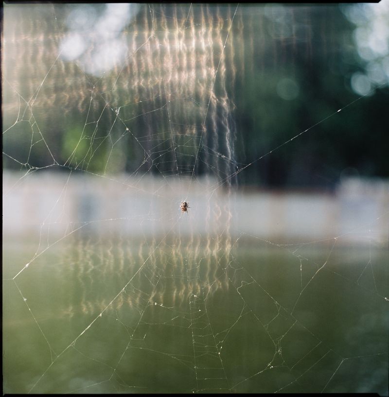 © Zula Rabikowska - Image from the Knots in the curtain (working title) photography project