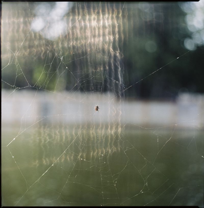 © Zula Rabikowska - Image from the Knots in the curtain (working title) photography project