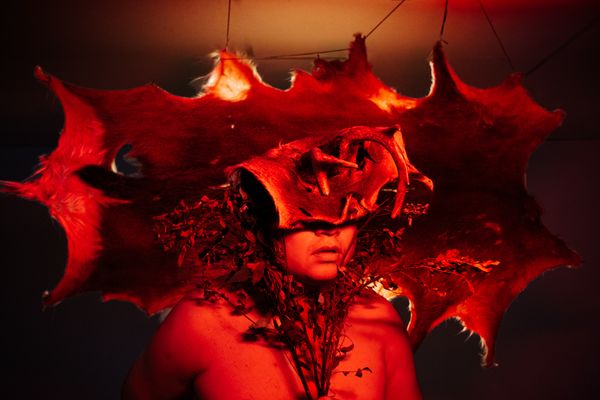 © Guillermo Tinoco - Self-deer