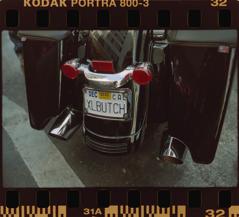 © Camila de Ilhéus - XLBUTCH