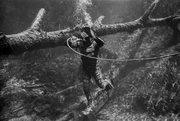 © Alvaro Deprit - Creature from the Black Lagoon, Silver Springs, Florida.
