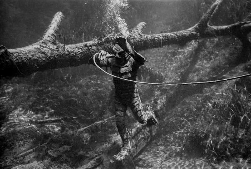 © Alvaro Deprit - Creature from the Black Lagoon, Silver Springs, Florida.