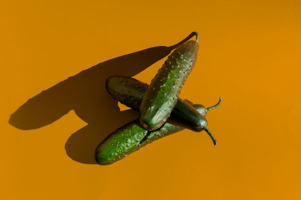 © Alvaro Deprit - Cucumber collecting