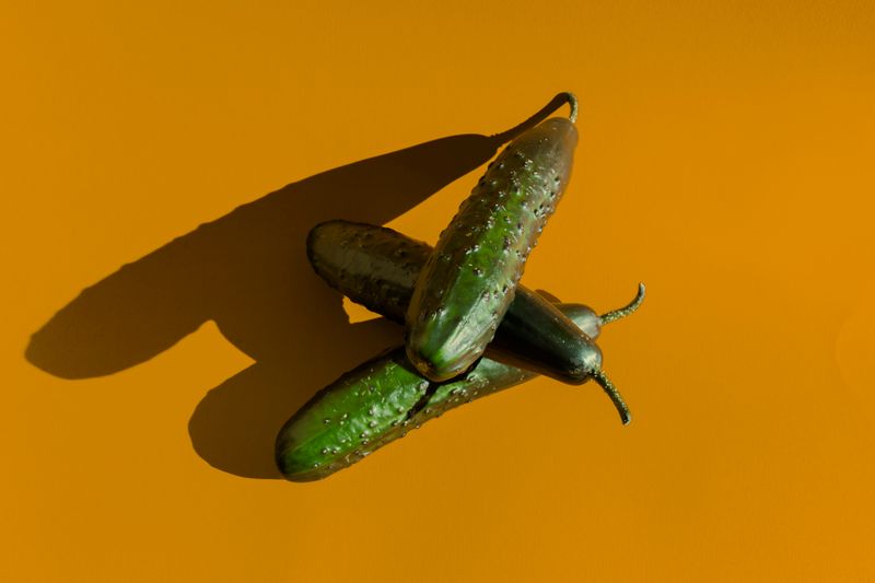 © Alvaro Deprit - Cucumber collecting