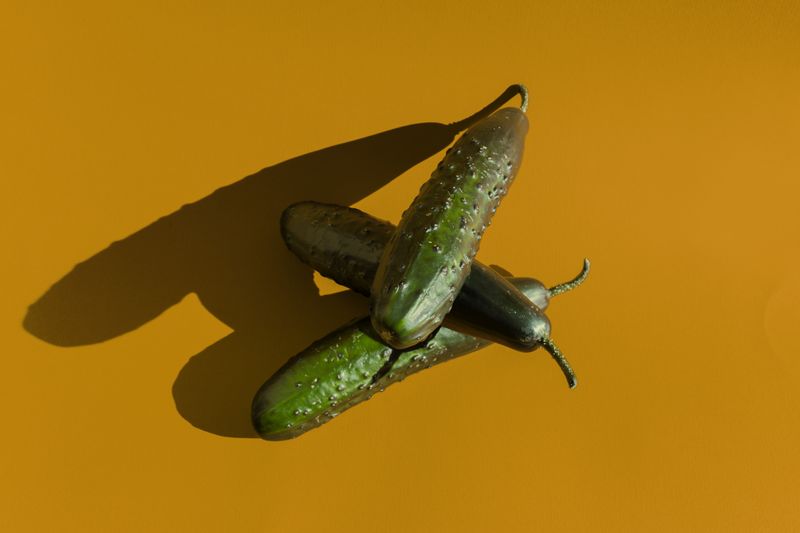 © Alvaro Deprit - Cucumber collecting