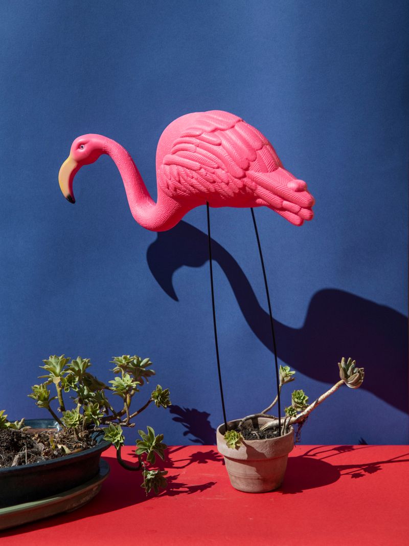 © Alvaro Deprit - Plastics for the Lawn