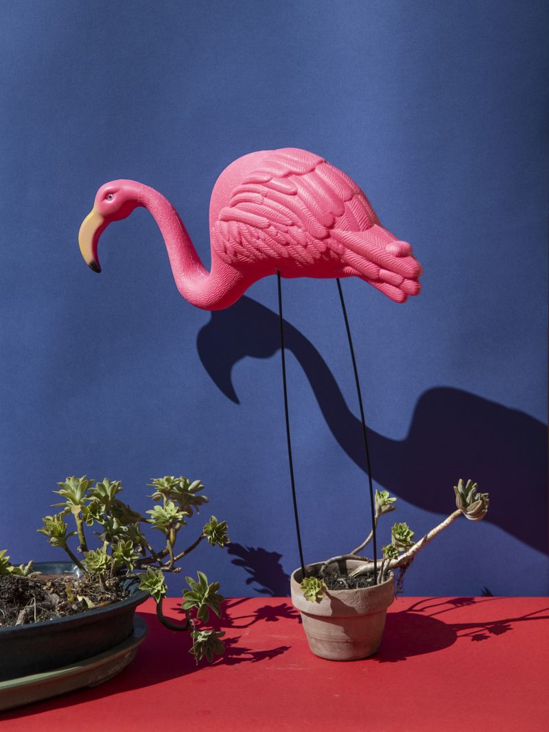 © Alvaro Deprit - Plastics for the Lawn