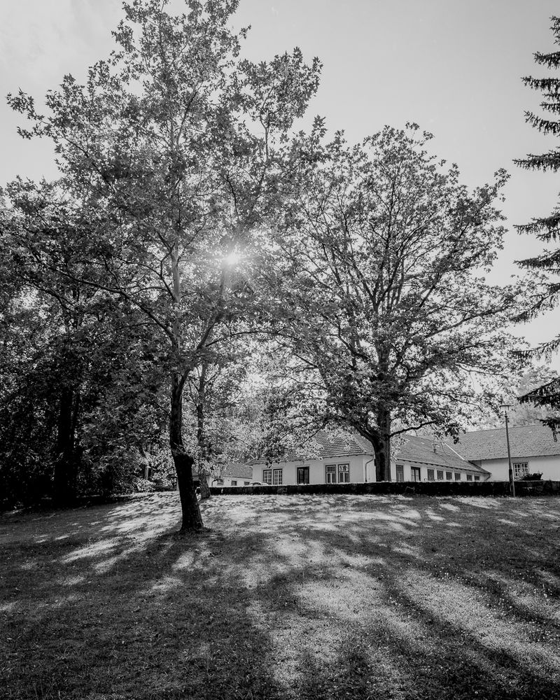 © Paweł Starzec - Image from the Zersetzung photography project