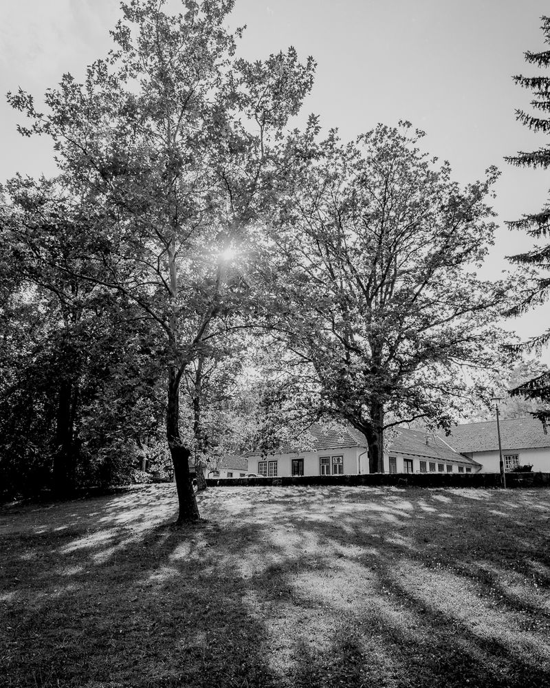 © Paweł Starzec - Image from the Zersetzung photography project