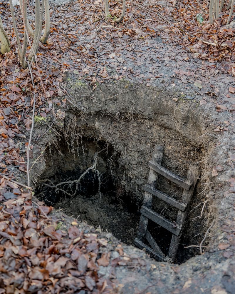 © Paweł Starzec - Image from the Anew photography project