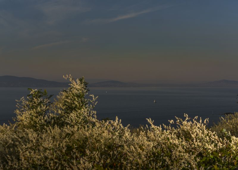 © Hahn Hartung - Lake Balaton